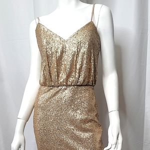 Bari Jay Sequin Dress
